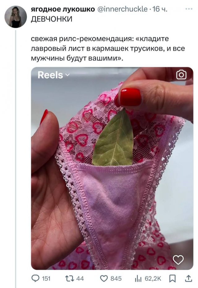 Рабочая схема для девушек: кладите лавровый листик в кармашек трусиков