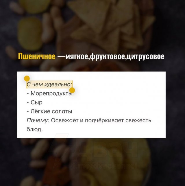 Гайд для пивозавров: как лучше всего сочетать разные виды пива с закусками