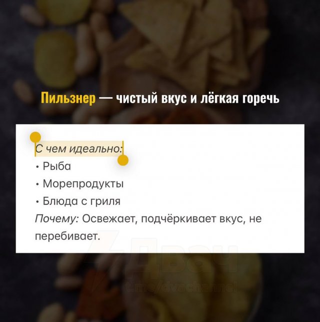Гайд для пивозавров: как лучше всего сочетать разные виды пива с закусками