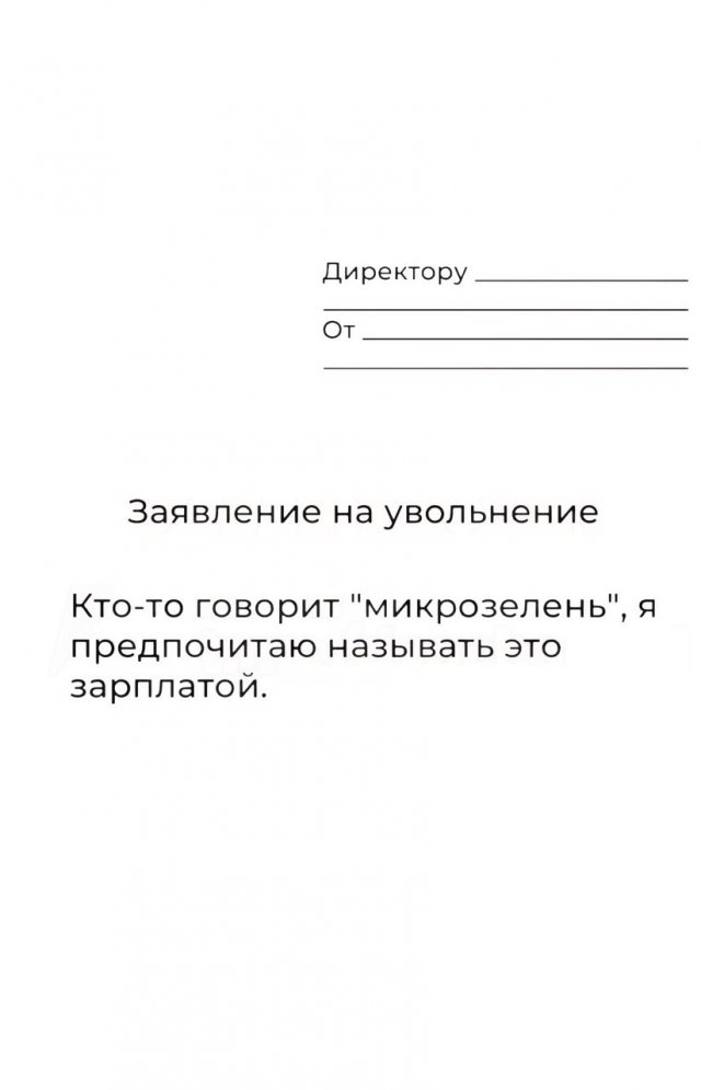 В Сети показали лучшие шаблоны для увольнения