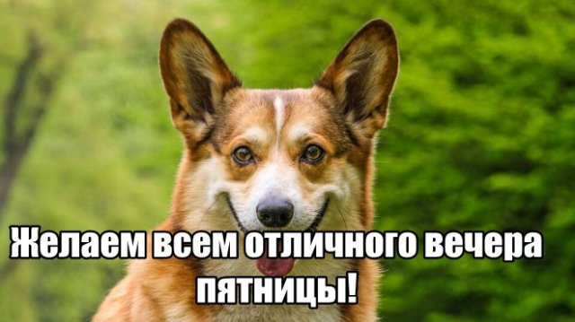 Трынделка - 16.05.2025