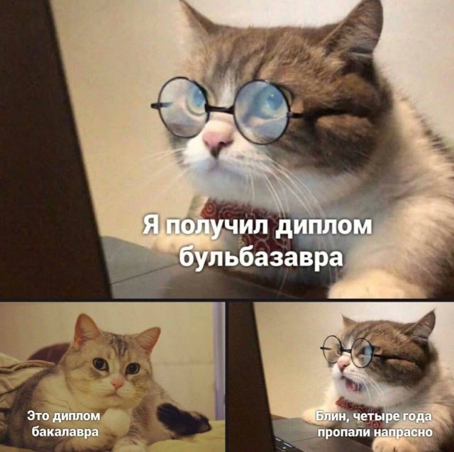 Лучшие шутки и мемы из Сети - 16.05.2025