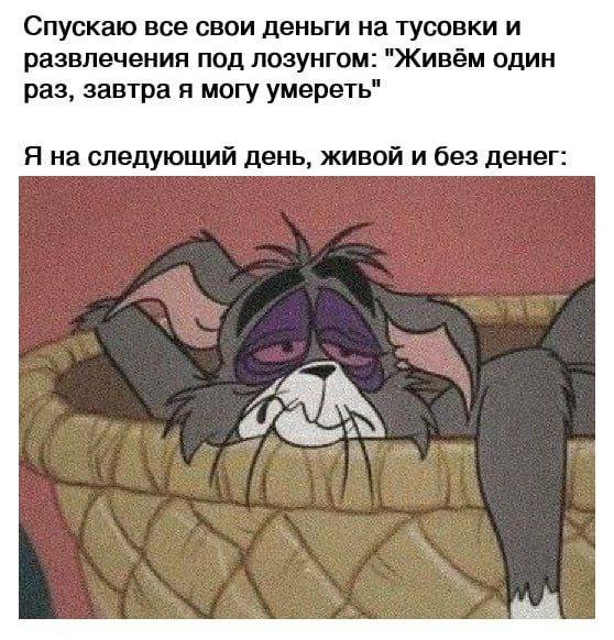 Лучшие шутки и мемы из Сети - 16.05.2025