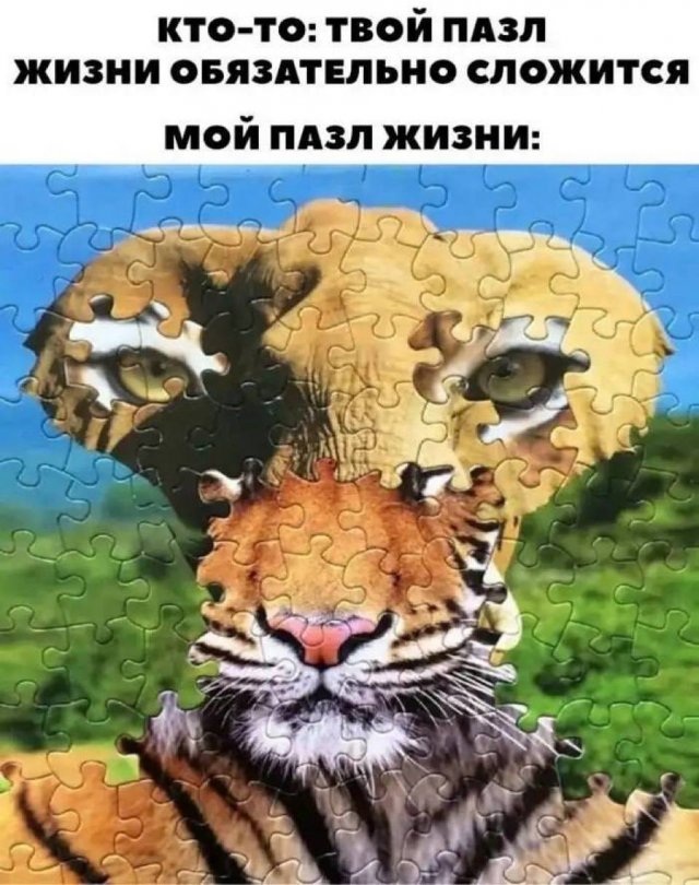 Лучшие шутки и мемы из Сети - 16.05.2025
