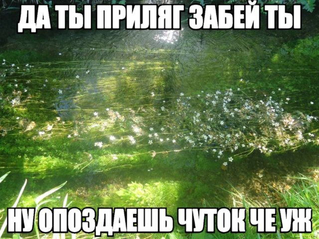 Лучшие шутки и мемы из Сети - 16.05.2025