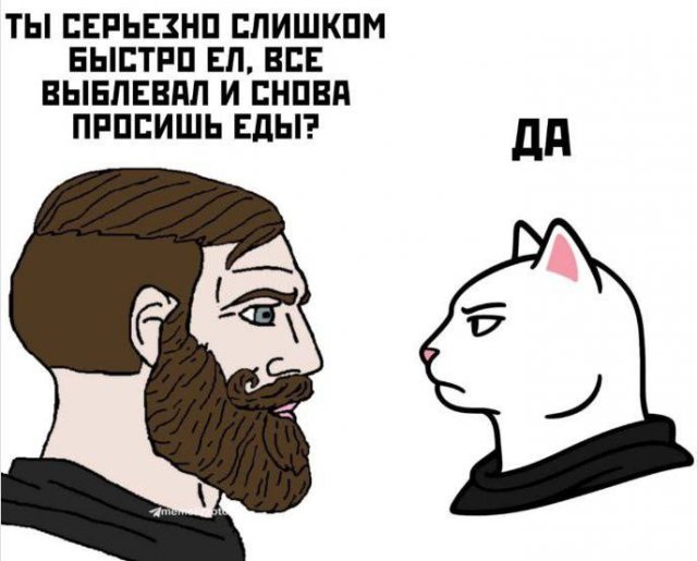 Лучшие шутки и мемы из Сети - 16.05.2025