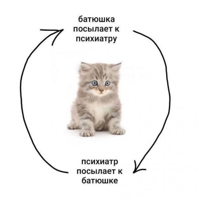 Лучшие шутки и мемы из Сети - 16.05.2025