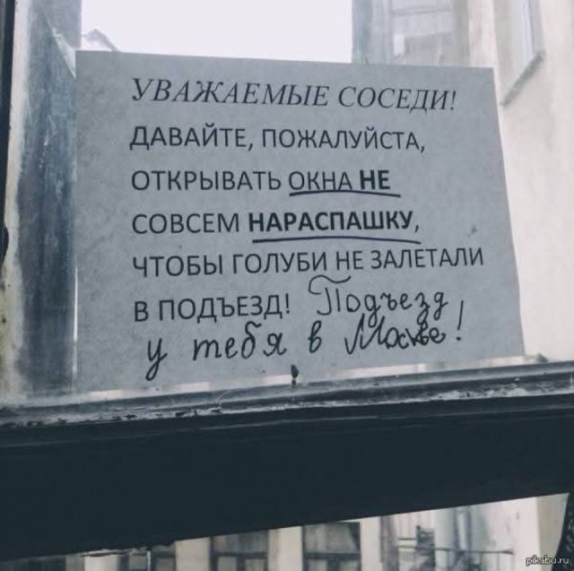 Лучшие шутки и мемы из Сети - 16.05.2025