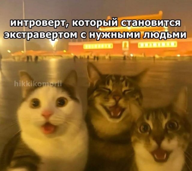 Лучшие шутки и мемы из Сети - 16.05.2025