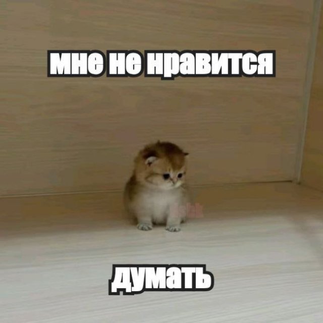 Лучшие шутки и мемы из Сети - 16.05.2025