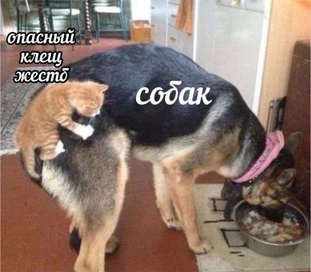 Смешные мемы - 19.05.2025