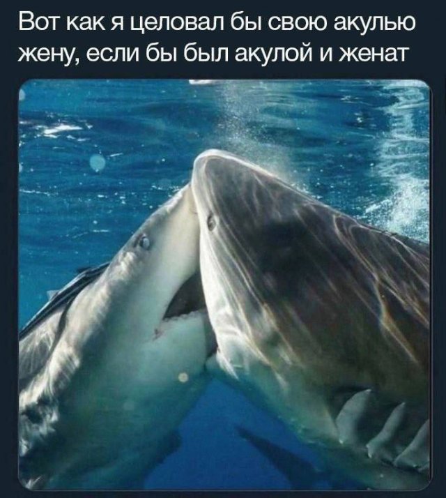 Смешные мемы - 19.05.2025