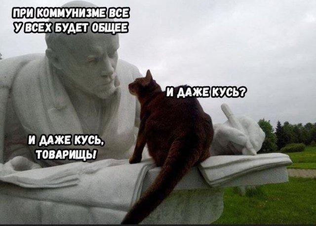 Смешные мемы - 19.05.2025