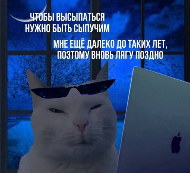 Смешные мемы - 19.05.2025