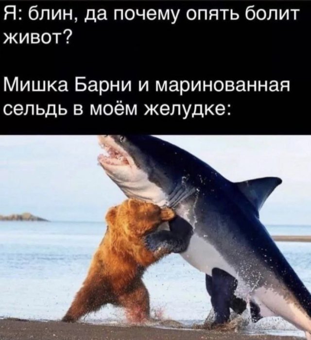 Смешные мемы - 19.05.2025