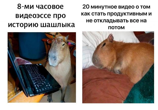 Смешные мемы - 19.05.2025