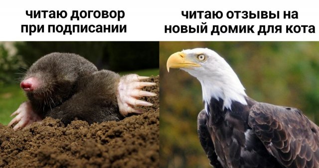 Смешные мемы - 19.05.2025