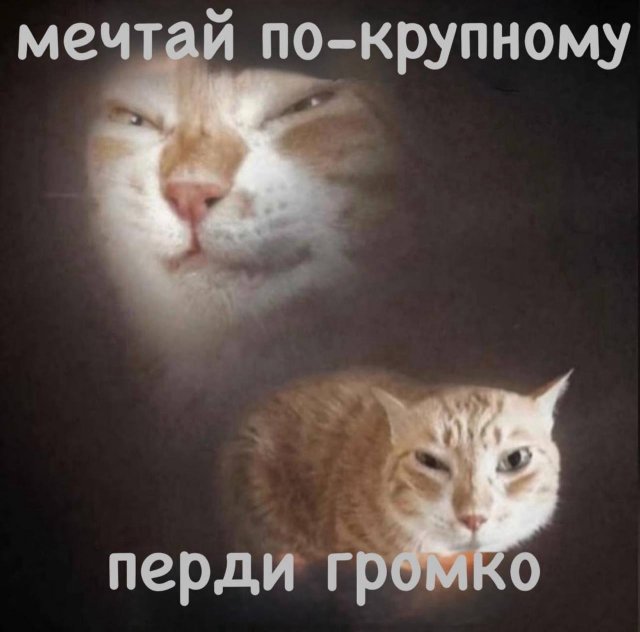 Смешные картинки - 19.05.2025