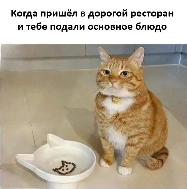 Смешные картинки - 19.05.2025