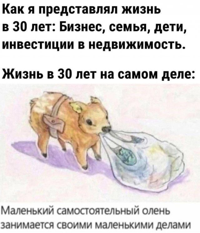 Смешные картинки - 19.05.2025