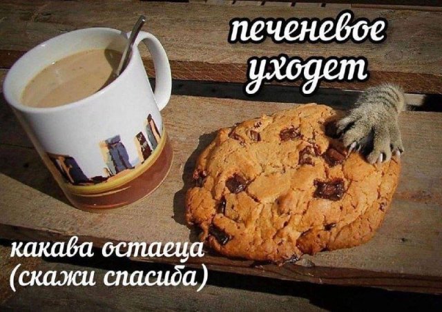 Смешные картинки - 19.05.2025
