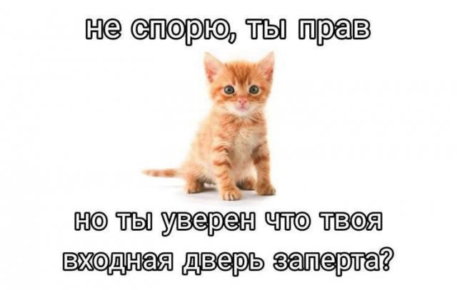 Смешные картинки - 19.05.2025