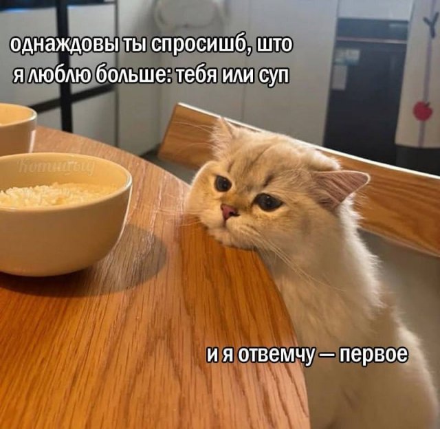 Смешные картинки - 19.05.2025