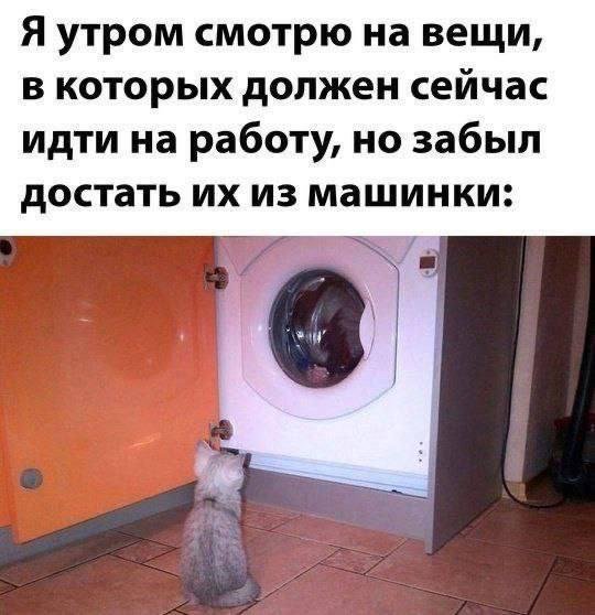 Смешные картинки - 19.05.2025