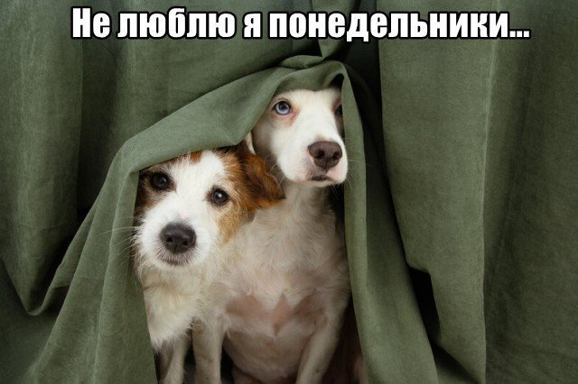 Трынделка - 19.05.2025