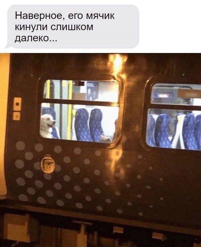 Лучшие шутки и мемы из Сети - 19.05.2025