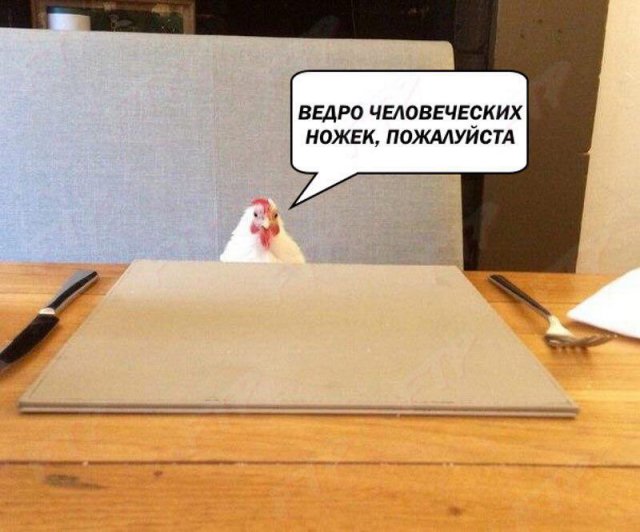 Смешные мемы - 20.05.2025