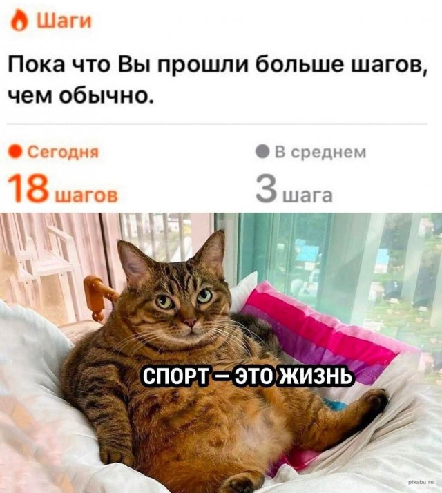 Смешные мемы - 20.05.2025