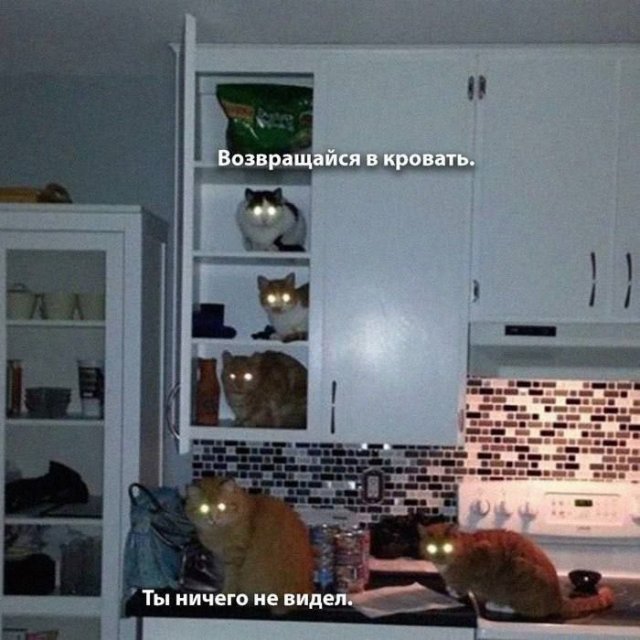 Смешные мемы - 20.05.2025