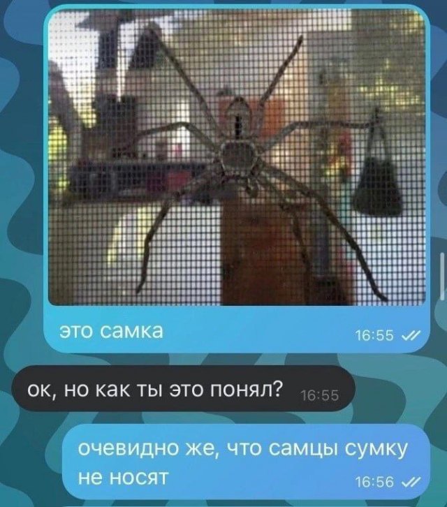 Смешные мемы - 20.05.2025