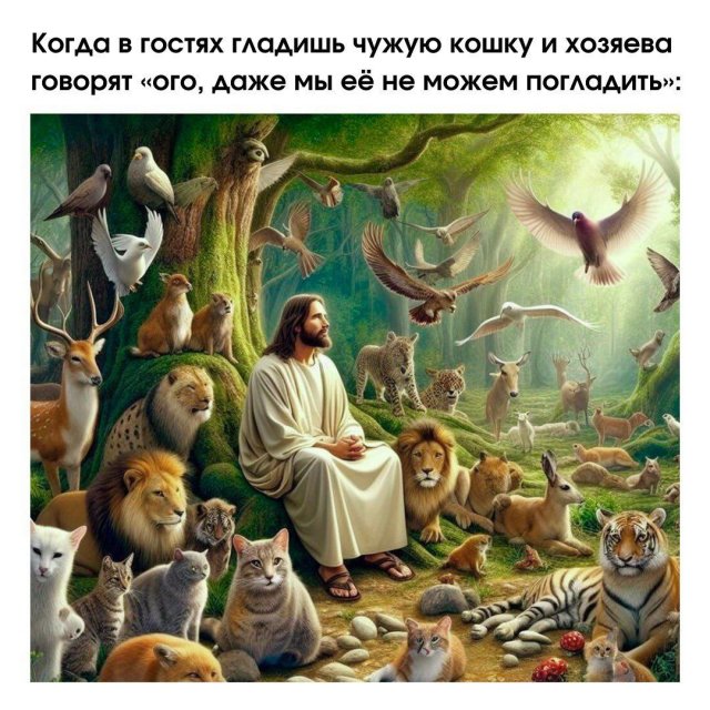 Смешные картинки - 20.05.2025