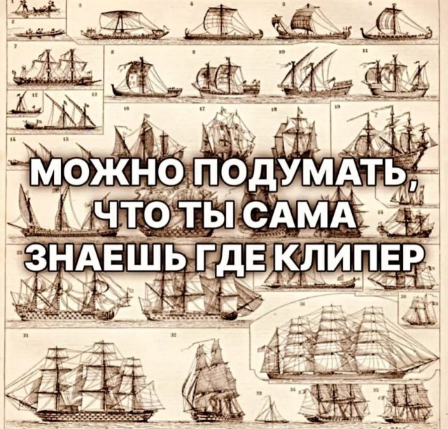 Смешные картинки - 20.05.2025