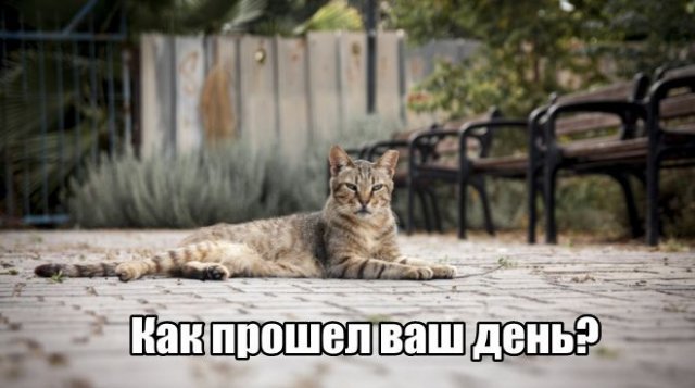 Трынделка - 20.05.2025