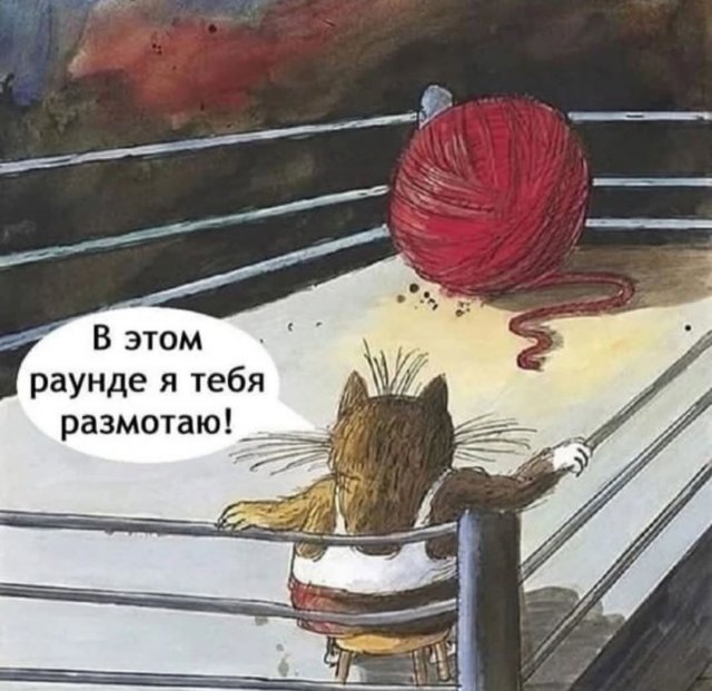 Лучшие шутки и мемы из Сети - 20.05.2025