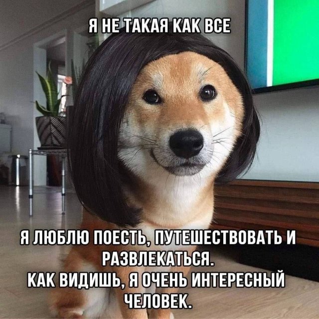 Лучшие шутки и мемы из Сети - 20.05.2025