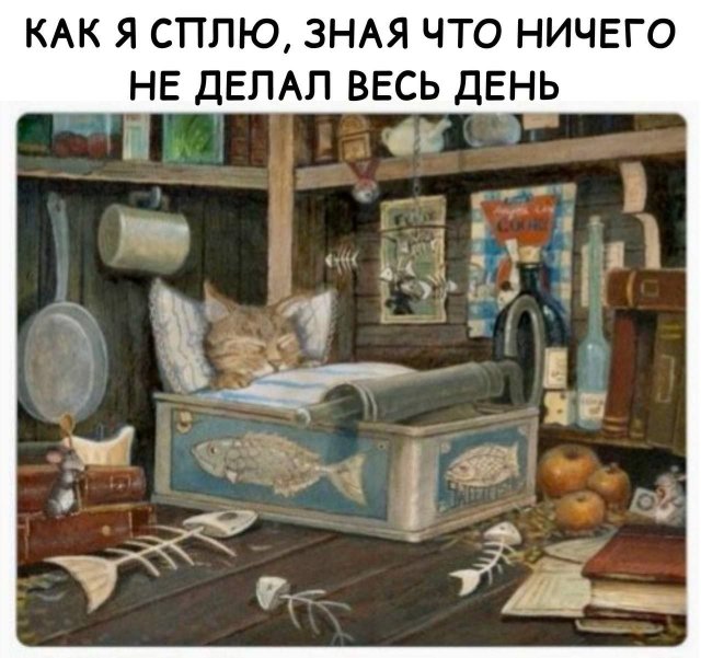 Лучшие шутки и мемы из Сети - 20.05.2025