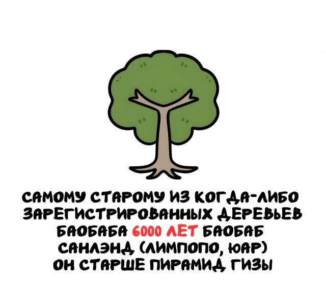 Интересные факты на все случаи жизни