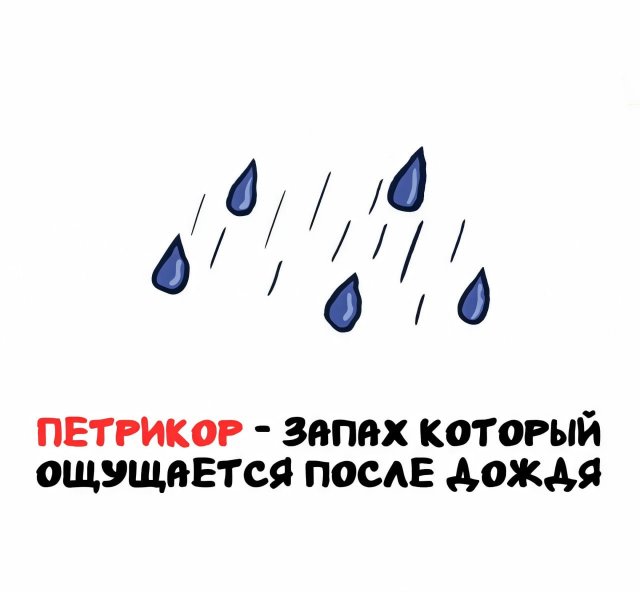 Интересные факты на все случаи жизни