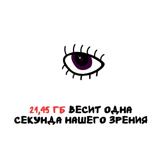 Интересные факты на все случаи жизни