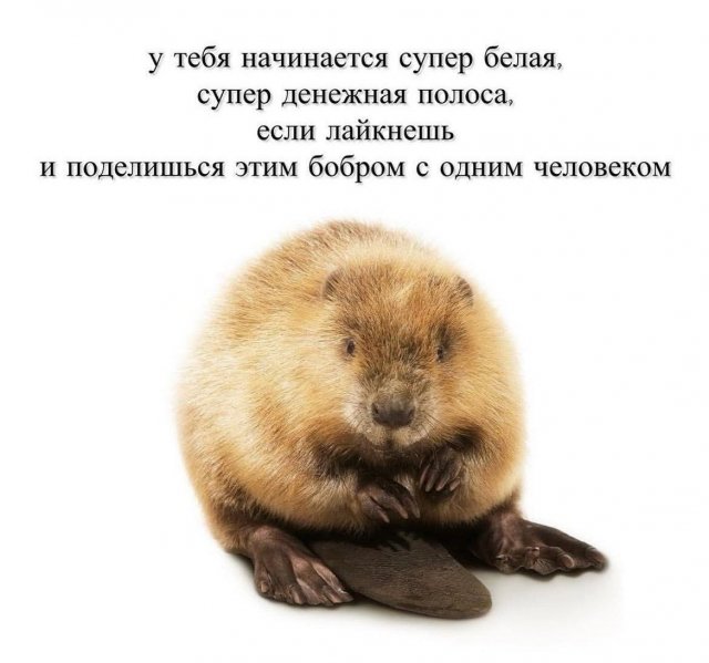 Смешные мемы - 21.05.2025