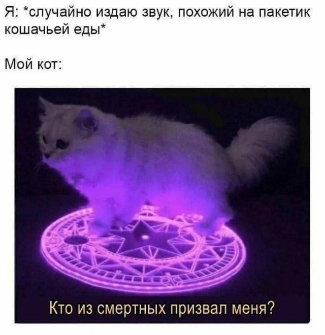 Смешные мемы - 21.05.2025