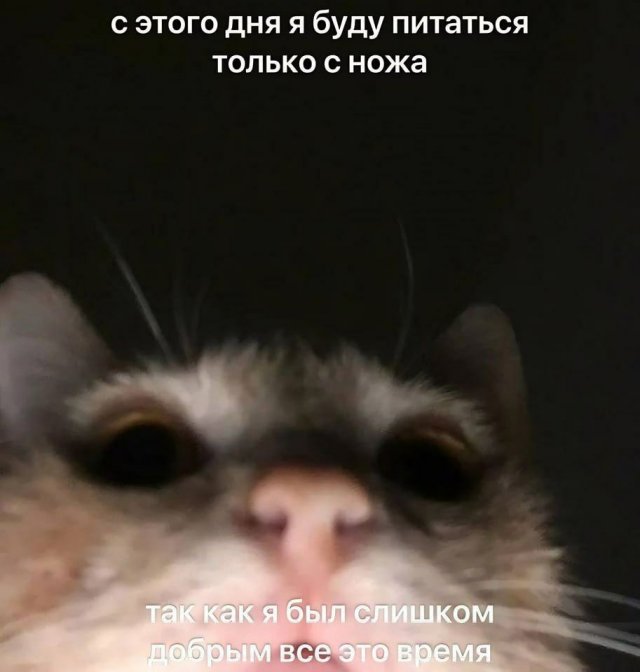 Смешные мемы - 21.05.2025