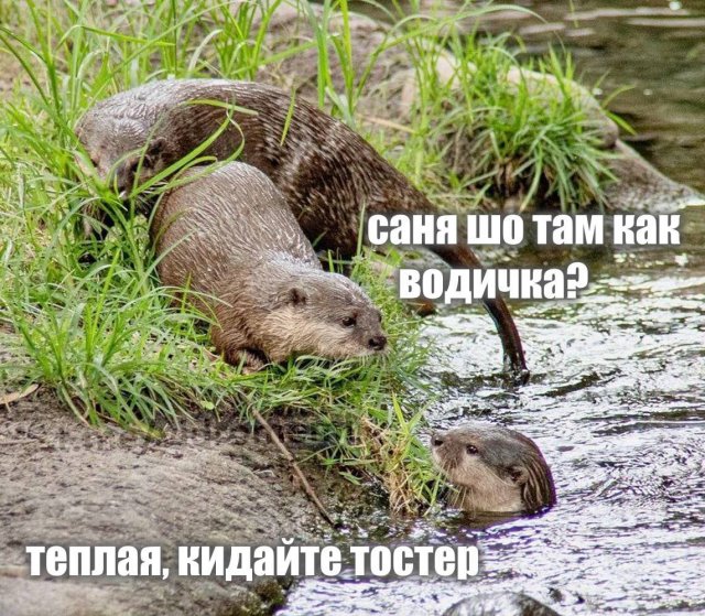 Смешные мемы - 21.05.2025