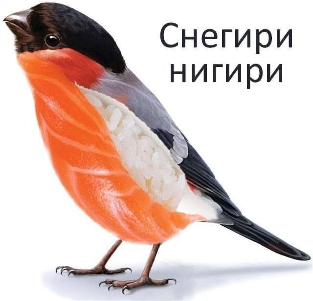 Смешные мемы - 21.05.2025