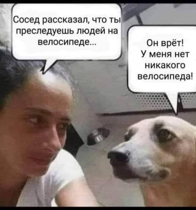 Смешные мемы - 21.05.2025