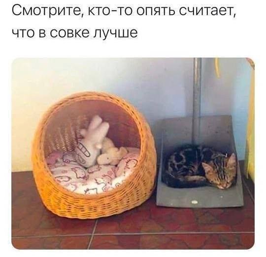 Смешные мемы - 21.05.2025